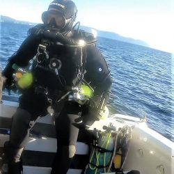 BOAT DIVER